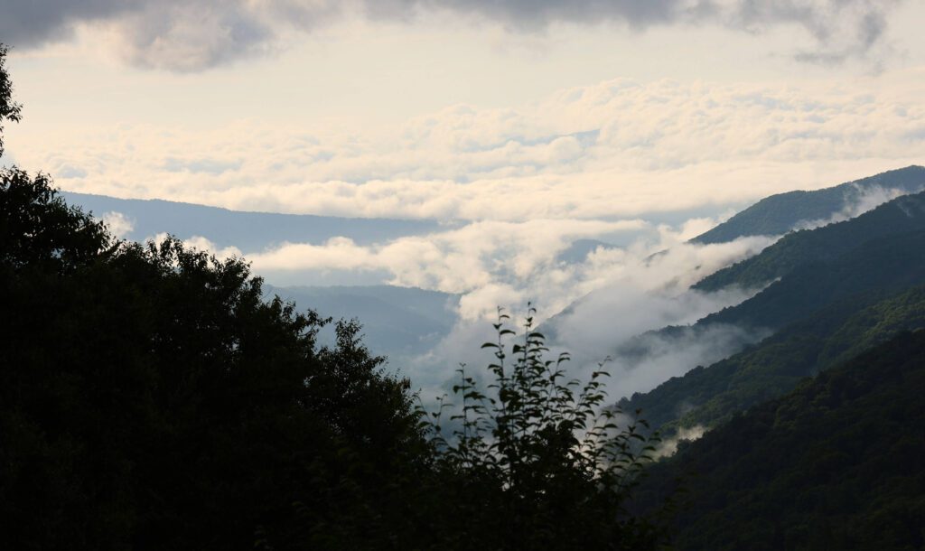gallery-img