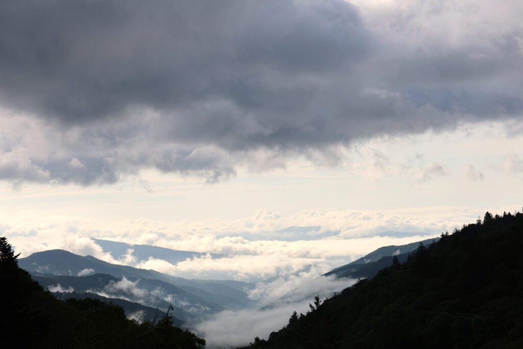 gallery-img